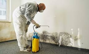 Why You Should Choose Our Mold Remediation Services in Wesley Chapel, NC