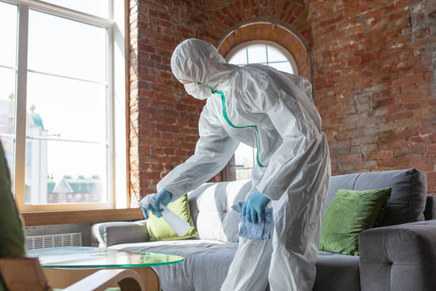 Mold Odor Removal Services in Wesley Chapel, NC